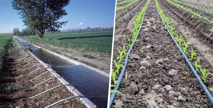 Génération Green : 28 milliards de dirhams investis dans l'eau au Maroc Génération Green 28 milliards de dirhams investis dans l'eau au Maroc irrigation