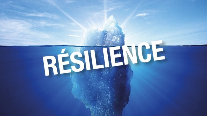 Bien-être et résilience transformer le stress chronique en force intérieure