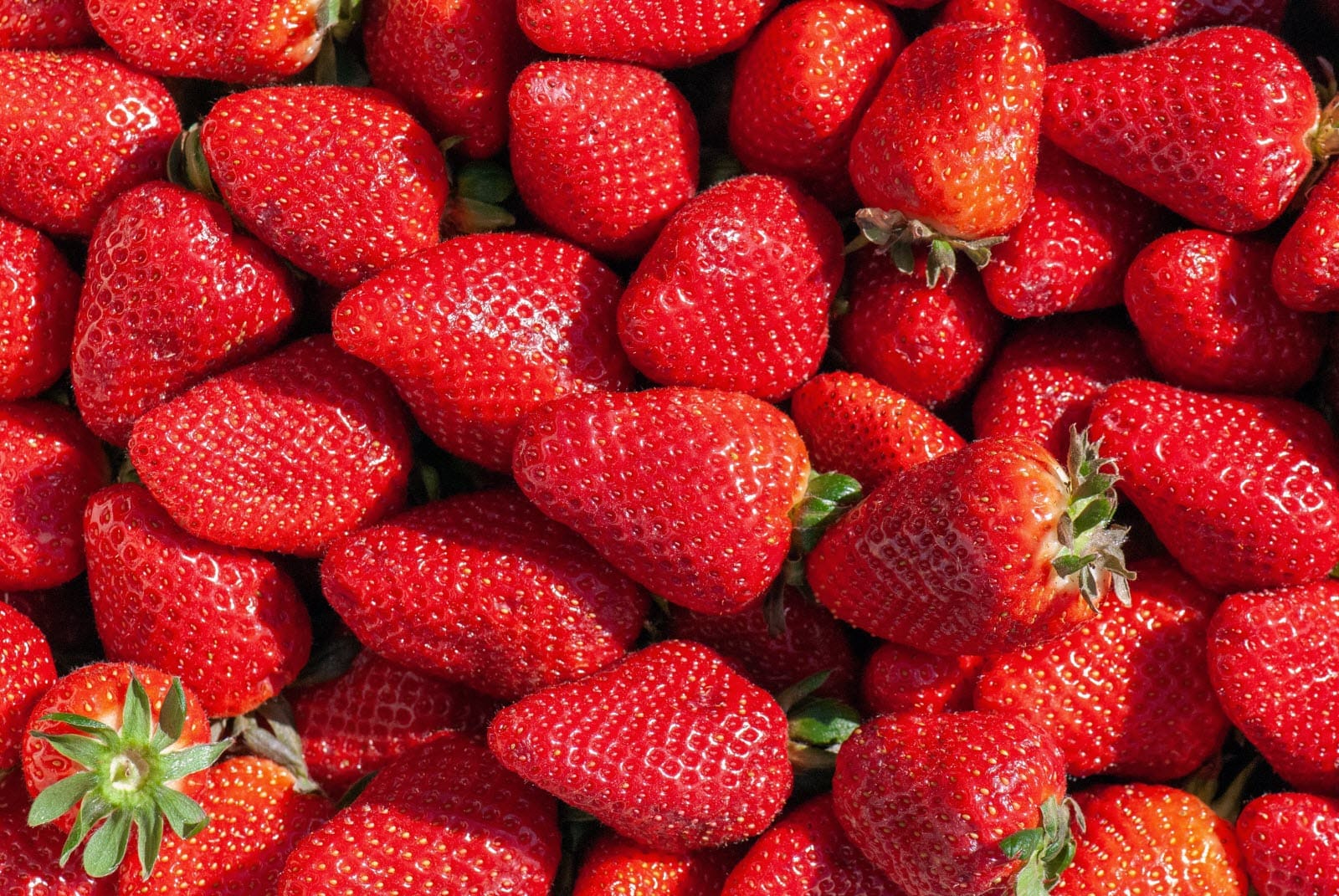 fraises
