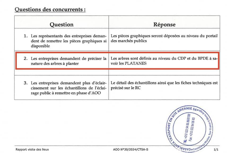 Les palmiers, c’est fini ? Place aux platanes sur le boulevard Zerktouni ! zerktouni 458670242 507772938542293 3175737689040604943 n