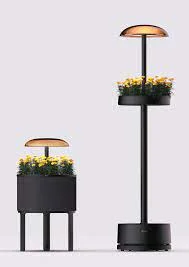 LG révolutionne le jardinage d'intérieur avec une lampe intelligente multifonction au CES 2025 LG LG revolutionne le jardinage dinterieur avec une lampe intelligente multifonction au CES 2025 1