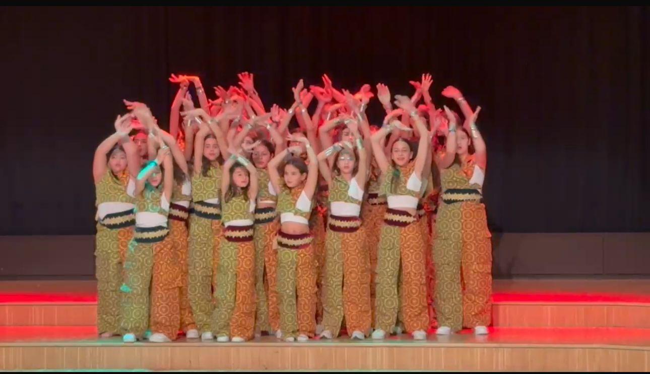 Temps’Danse éblouit Lausanne : une ode marocaine au festival « Au-delà des préjugés » danse PHOTO 2025 02 11 11 18 43 21