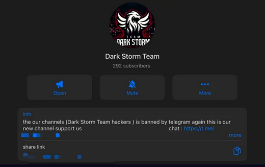 Qui est Dark Storm Team, les hackers accusé d’être derrière l’attaque contre X ? dark storm Capture decran 2025 03 10 a 23.49.09