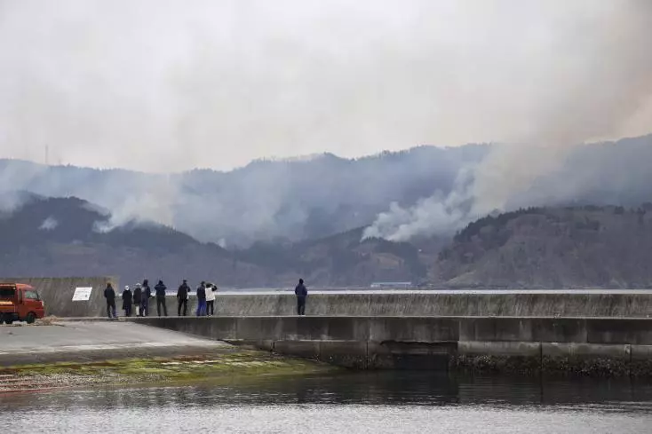 Iwate dévastée : le pire incendie de forêt en 50 ans au Japon Iwate field media image 2907532 f022884a12aa29bdf4066733e2a4a4d0c2737c9b