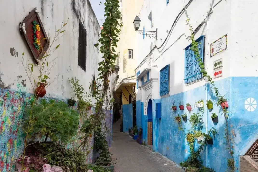 Tanger, entre histoire, nature et évolution : découvrez les lieux à ne pas manquer Tanger Ruelle étroite de la médina, bordée de plantes verdoyantes, offrant une ambiance paisible et traditionnelle.