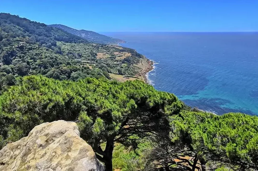 Tanger, entre histoire, nature et évolution : découvrez les lieux à ne pas manquer Tanger Vue panoramique de la forêt Perdicaris, avec des arbres verdoyants s'étendant jusqu'à la mer, créant un paysage naturel et apaisant.