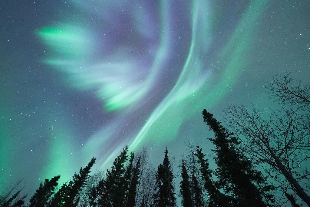 Pourquoi l’Alaska fascine toujours les amoureux de nature Alaska 742080 QuatreTiers.ori