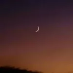 Aïd Al Mawlid
