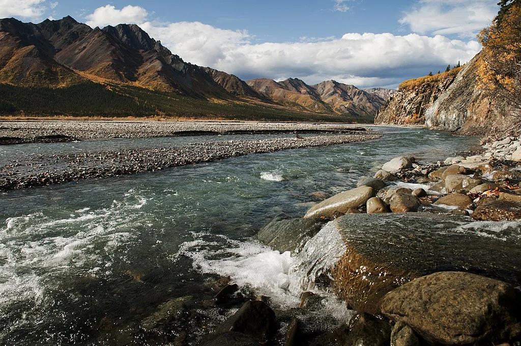 Pourquoi l’Alaska fascine toujours les amoureux de nature Alaska Toklat River 6473154245