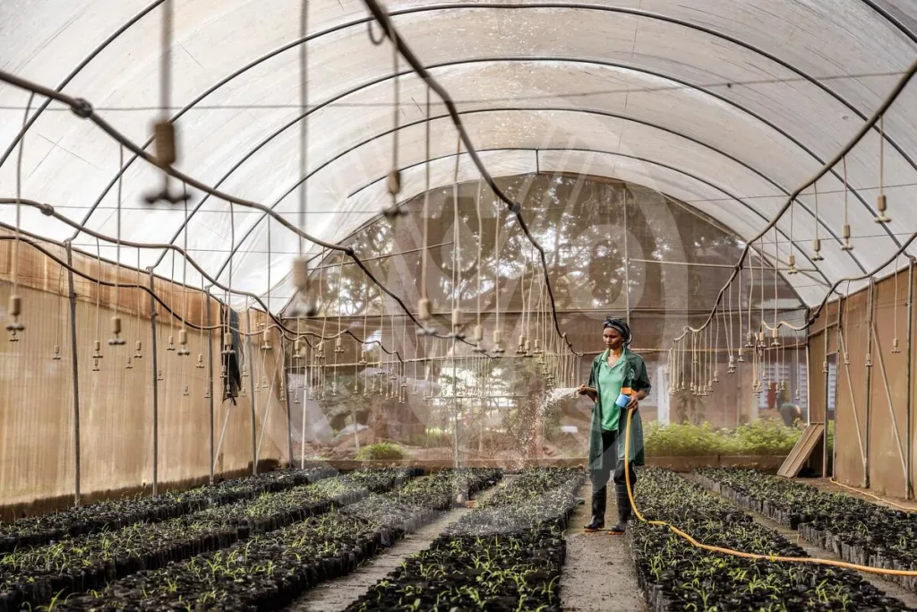 Les pays africains appelés à transformer leurs plans climatiques en moteurs d’emplois et de croissance pays Afrique climat