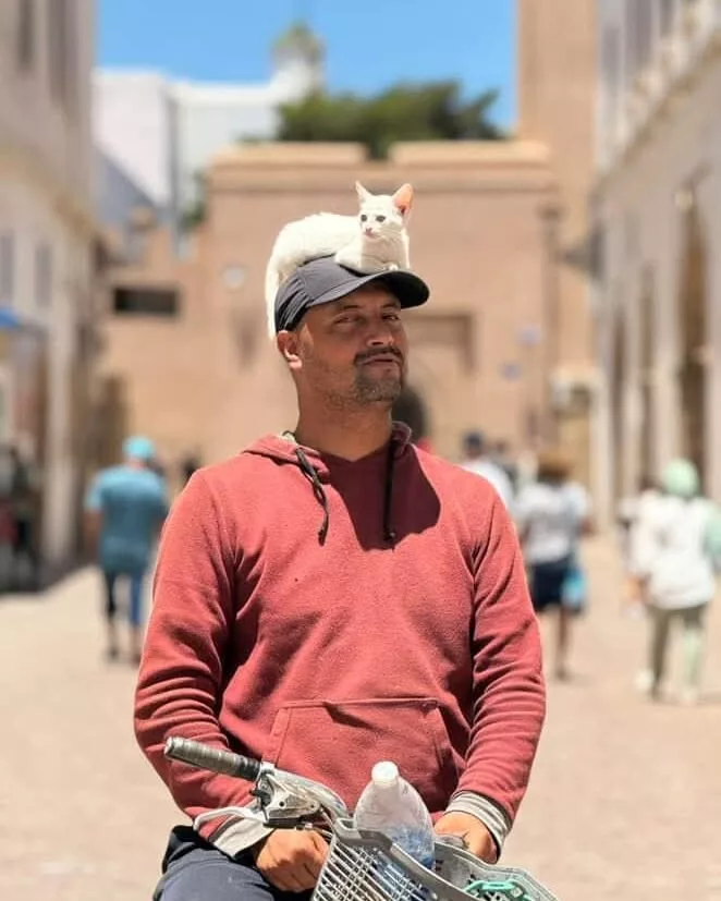 À Essaouira, un cycliste adopté par une tribu de chats Essaouira Jad Essaouira chats thesupercat