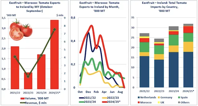 Le Maroc établit un nouveau record d’exportations de tomates vers l’Irlande Maroc Le Maroc signe un record historique dexportations de tomates vers lIrlande