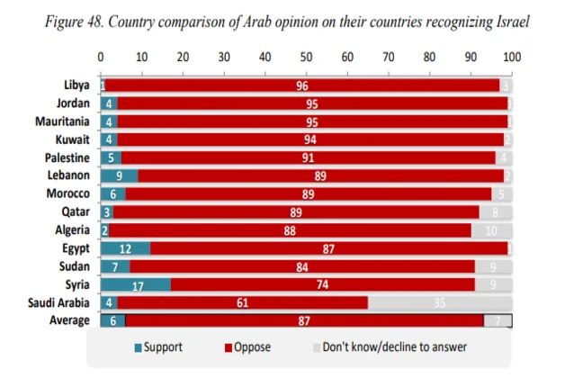 Arab Opinion Index 2024-2025 : ce que pensent vraiment les citoyens arabes ARAB Capture decran 2026 01 09 214941