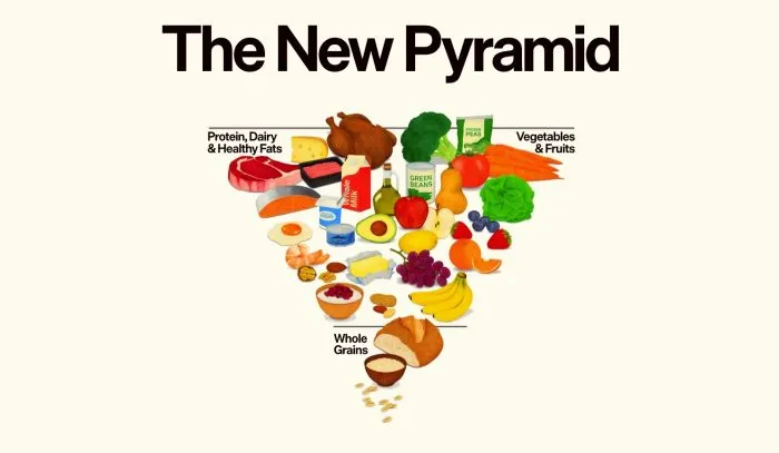 Pyramide alimentaire repensée : vers une alimentation plus saine et moins transformée pyramide Food Pyramid2 700x407 1