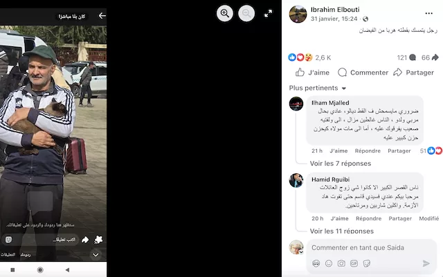 Ksar El Kébir : exode partiel, mobilisation citoyenne et solidarité pour les humains… et pour les animaux Ksar El Kébir kser kbir
