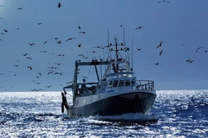Pêche continentale au Maroc : l’ANEF lance officiellement la saison 2026-2027 pêche continentale Pêche continentale au Maroc : l’ANEF lance officiellement la saison 2026-2027
