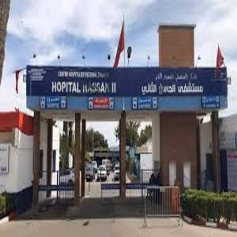 Agadir : le CHR Hassan II ferme fin mars pour une reconstruction à 1,1 milliard de dirhams telechargement