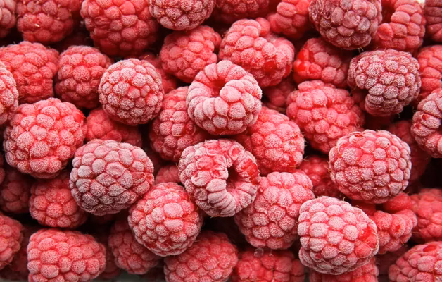 Framboises surgelées : le Maroc intègre le top 5 des fournisseurs aux Pays-Bas en 2025 adobestock 369199583 960x640 1