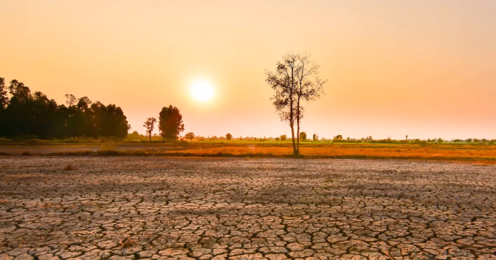 El Niño : l’ONU alerte sur un risque élevé de phénomènes climatiques extrêmes dès cet été El Niño El Niño : l’ONU alerte sur un risque élevé de phénomènes climatiques extrêmes dès cet été