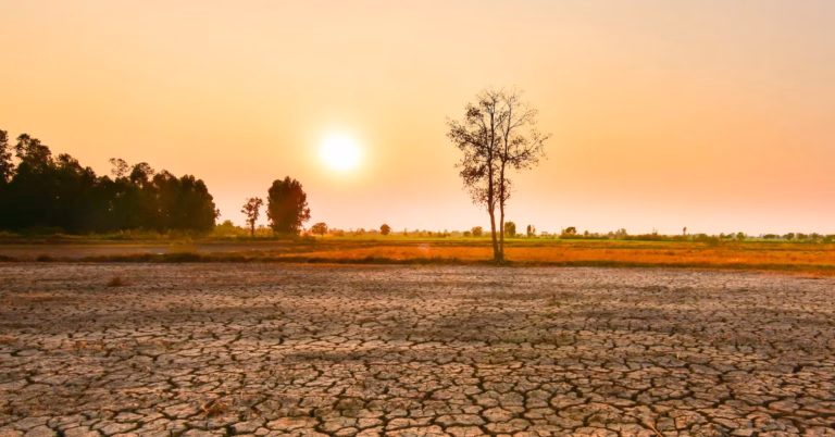 El Niño 2026 : pourquoi son impact sur le climat du Maroc reste incertain el nino
