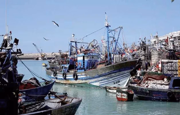 Port de Tan-Tan : nette hausse des débarquements de sardine depuis fin mars peche Maroc tantan 2013 09 26