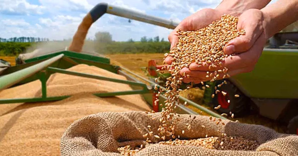 Meknès accueille la conférence AAA sur l’agriculture africaine et le climat Meknès Titre de l’article lié