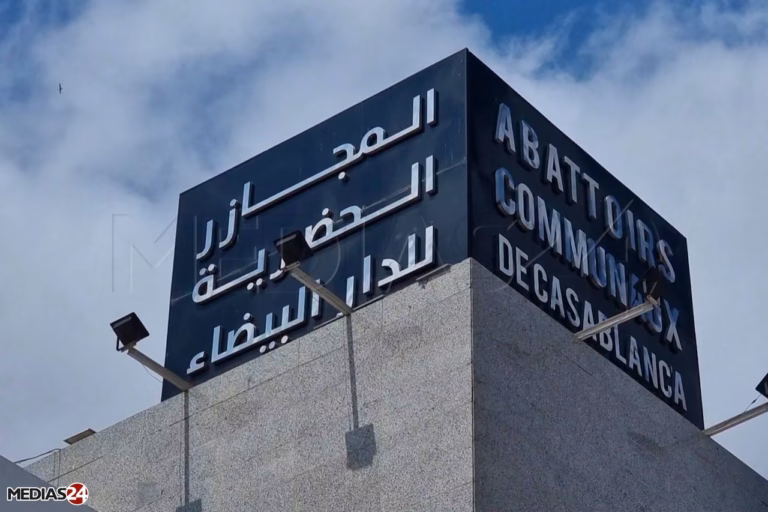 Aid Al Adha 2026 : Casablanca maintient les prix de l’abattage à 240 DH Abattoirs 02 scaled scaled 1