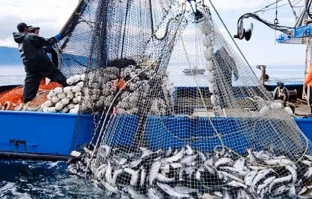 Pêche maritime : les débarquements des ports méditerranéens progressent de 4 % à fin mai 2026 Pêche Pêche maritime : les débarquements des ports méditerranéens progressent de 4 % à fin mai 2026