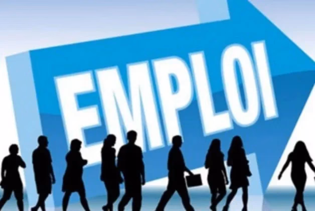 Marché du travail : chômage à 10,8% et pression accrue sur les jeunes emploi 123