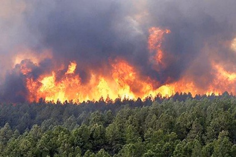 Incendies de forêts : le Maroc mobilise d’importants moyens lors de l’exercice FOREX’26 à Tanger incendie marocc