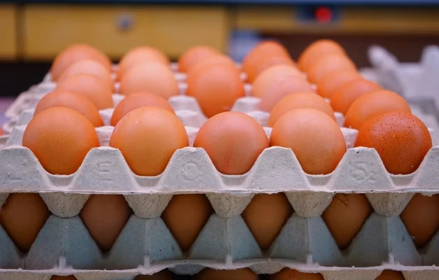 Prix des œufs au Maroc : forte baisse sous 1 dirham, mais les producteurs sont inquiets ! oeufs supermarche 1024x683 1