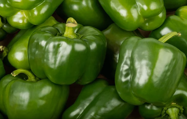 Exportations marocaines : les ventes de poivrons vers la Norvège bondissent de 130 % 8850 Poivron vert