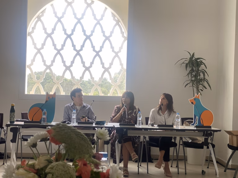CGLU Tanger 2026 : quand la gestion des chiens et chats errants devient une question de santé publique CGLU chiens et chats