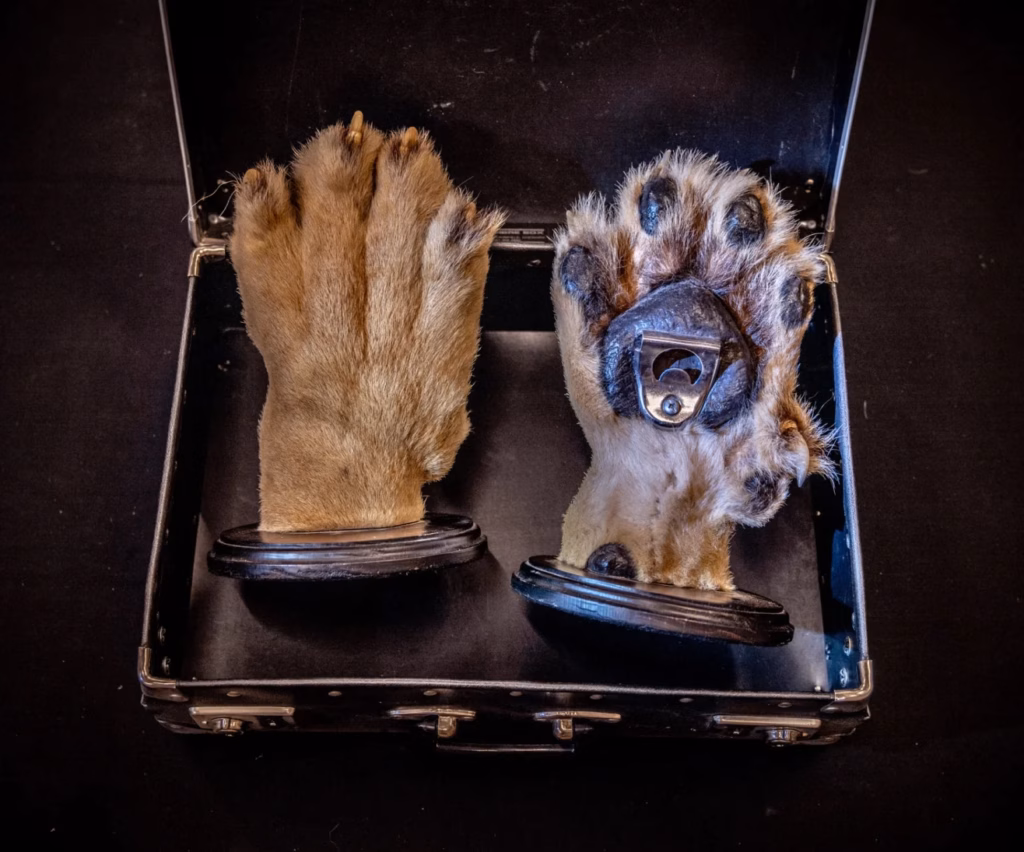 Earth Photo Awards 2026 : Britta Jaschinski récompensée pour son enquête sur le trafic d’animaux sauvages Earth Photo Awards 2026 britta jaschinski real lion paws turned into bottle openers 114932